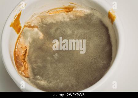 Einige Wochen alter Schimmel entwickelte sich auf dem Rest der Soße Stockfoto