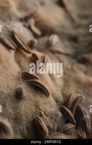 Auf dem Brötchen entstanden mehrere Wochen alte Schimmelpilze Stockfoto