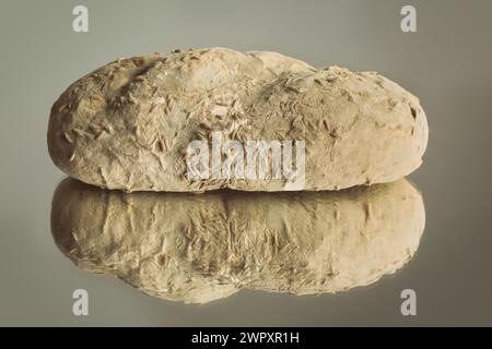 Auf dem Brötchen entstanden mehrere Wochen alte Schimmelpilze Stockfoto