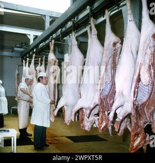 Die Sozialistische Republik Rumänien, ca. 1978. Innenraum einer Schlacht- und Fleischverarbeitungsfabrik. Stockfoto