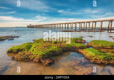 Der felsige Strand am Point Lonsdale Jetty, am Eingang zur Port Philip Bay, Bellarine Peninsula, Victoria, Australien Stockfoto