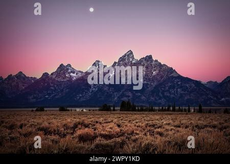 Bei Tagesanbruch im Grand Teton National Park, Wyoming, hängt der Mond über den Tetons. Stockfoto