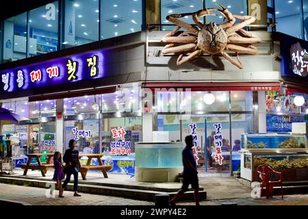 Sokcho City, Südkorea - 30. Juli 2019: Gäste spazieren nachts vor einem beliebten Schneekrabbenrestaurant am Daepo Port mit einem großen schneekrebs Stockfoto