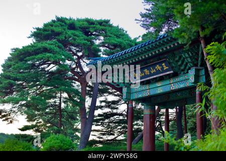 Yangyang County, Südkorea - 30. Juli 2019: Das grüne Eingangstor zum historischen Naksan Tempel, umgeben von Kiefern, markiert ein heiteres Ende des 20. Jahrhunderts Stockfoto