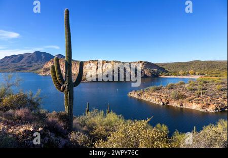 Saguaro Lake Panorama Desert Cactus Vordergrundansicht Butcher Jones Wandern Scenic Sonora Desert Landscape Superstition Mountains Wilderness Arizona USA Stockfoto