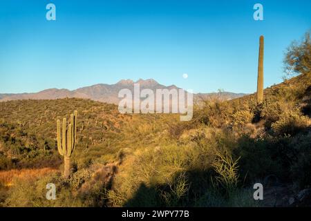 Full Moon Rising over Four Peaks Aberstitions Mountain Wilderness Saguaro Cactus Foreground Scenic Sonora Desert Landscape Apache Trail Arizona USA Stockfoto