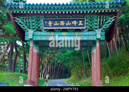 Yangyang County, Südkorea - 30. Juli 2019: Die Straße, die zum Eingangstor des Naksan Tempels führt, wird von einem dunklen Baumdach aus Kiefern begrenzt und bildet ein t Stockfoto