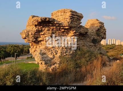 Ruinen der antiken Stadt des biblischen Aschkelon in Israel. Stockfoto