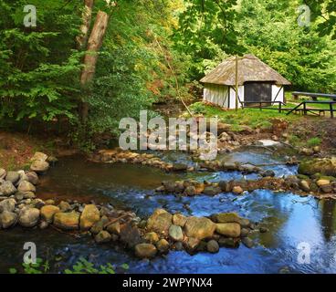 Landschaft, Wald und Fluss mit Vintage Hütte in der Natur mit Büschen, Umwelt und Naturschutz in Virginia. Dorf, Wälder und Lager mit Rost Stockfoto