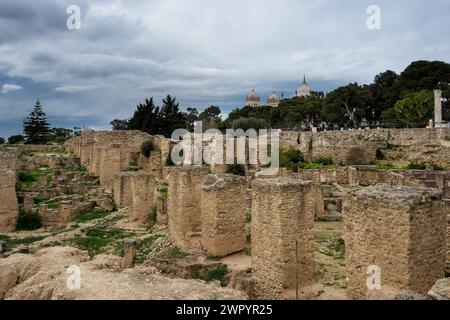 Blick auf die archäologische Stätte Karthago auf dem Byrsa-Hügel, im Herzen des Gouvernements Tunis in Tunesien. Stockfoto