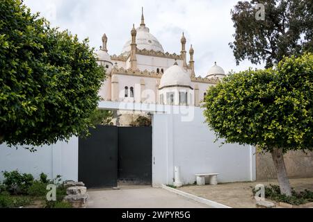 Detail des Innenraums des Museums an der archäologischen Stätte Karthago auf Byrsa, auf dem Byrsa Hügel, im Herzen des Gouvernements Tunis Stockfoto