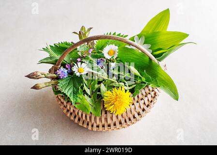 Frühlingskorb mit Blumen, Kräutern und Pflanzen. Wilder Knoblauch, Brennnessel, Löwenzahn und andere Heilkräuter sowie wilde essbare Pflanzen, die in EA wachsen Stockfoto