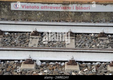 Stazione Ferroviaria con treni e passeggeri/Bahnhof mit Zügen und Fahrgästen Stockfoto