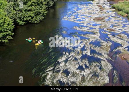 Der Fluss Vézère fließt vor der Klippe, in die sich die Troglodytenfestung La Roque Saint-Christophe im Périgord Noir befindet. Vorgeschichte, Histor Stockfoto