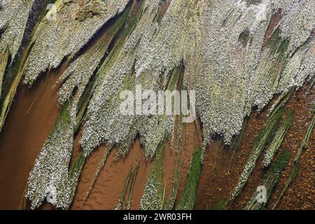 Der Fluss Vézère fließt vor der Klippe, in die sich die Troglodytenfestung La Roque Saint-Christophe im Périgord Noir befindet. Vorgeschichte, Histor Stockfoto