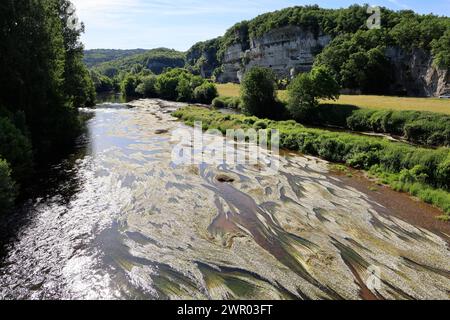 Der Fluss Vézère fließt vor der Klippe, in die sich die Troglodytenfestung La Roque Saint-Christophe im Périgord Noir befindet. Vorgeschichte, Histor Stockfoto