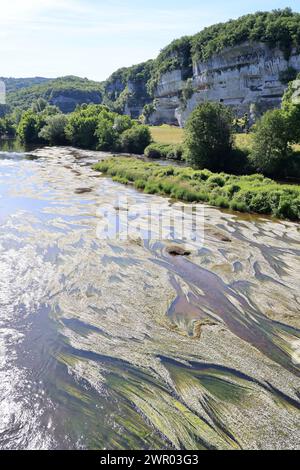 Der Fluss Vézère fließt vor der Klippe, in die sich die Troglodytenfestung La Roque Saint-Christophe im Périgord Noir befindet. Vorgeschichte, Histor Stockfoto