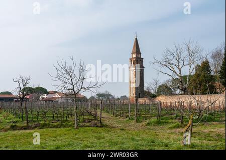 Mazzorbo, Italien - 25. Februar 2023: Mittelalterlicher Turm und Weinberg in Mazzorbo Italien Stockfoto