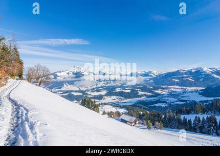 Reith bei Kitzbühel: Blick auf den Gipfel des Kitzbüheler Horns in den Kitzbüheler Alpen (Kitzbühler Alpen, Kitzbüheler Alpen), Blick vom Astberg im Wilden Kai Stockfoto