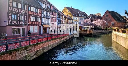 Colmar im Elsass an der Weinstraße 08.03.24: Altstadtbild von Colmar mit Kopfsteinpflaster, Fachwerkbauten aus dem Mittelalter und der Renaissance. Place de la CathÃ drale steht das gotische Martinsmünster. Klein Venedig. Colmar Altstadt Elsass Frankreich *** Colmar im Elsass an der Weinstraße 08 03 24 Altstadt von Colmar mit Kopfsteinpflaster, Fachwerkhäusern aus dem Mittelalter und dem Renaissance Place de la Cathôdrale steht die gotische St. Martins Minster Little Venice Colmar Altstadt Elsaß Frankreich 20240308 130501 Stockfoto