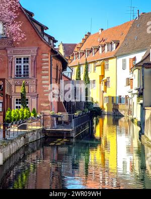 Colmar im Elsass an der Weinstraße 08.03.24: Altstadtbild von Colmar mit Kopfsteinpflaster, Fachwerkbauten aus dem Mittelalter und der Renaissance. Place de la CathÃ drale steht das gotische Martinsmünster. Klein Venedig. Colmar Altstadt Elsass Frankreich *** Colmar im Elsass an der Weinstraße 08 03 24 Altstadt von Colmar mit Kopfsteinpflaster, Fachwerkhäusern aus dem Mittelalter und dem Renaissance Place de la Cathôdrale steht die gotische St. Martins Minster Little Venice Colmar Altstadt Elsaß Frankreich 20240308 130611 Stockfoto