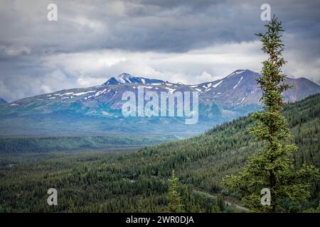 Beeindruckender farbenfroher Berg im Denali National Park, Alaska USA Stockfoto