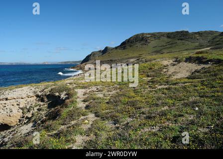 Die Nurra-Küste zwischen Rena Maiore und Monte Rugginosu Stockfoto
