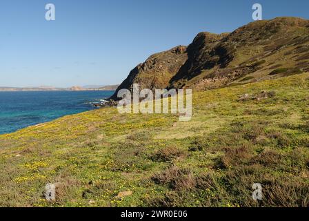 Die Nurra-Küste zwischen Rena Maiore und Monte Rugginosu Stockfoto