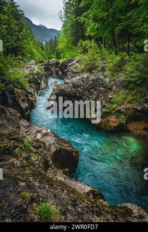 Einer der berühmtesten Flüsse Sloweniens. Toller Erholungsort und Kajakziel. Der sich windende Fluss Soca in der Schlucht, Trenta, Slowenien, Europa Stockfoto