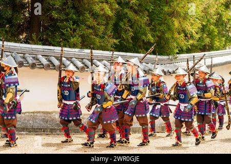 Japanische Kinder, gekleidet als Teppou-Aschigaru-Soldaten mit Streichholzwaffen, marschieren bei der Samurai-Parade auf einer Straße in der Burgstadt Tatsuno entlang. Stockfoto