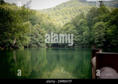 Der Wald und der See darin, Bolu Yedigoller Stockfoto