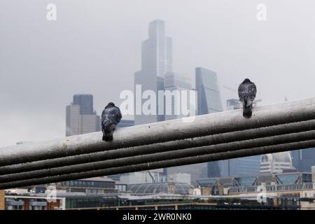 Millennium Bridge, London, Großbritannien. März 2024. Wetter in Großbritannien: Regen in London. Quelle: Matthew Chattle/Alamy Live News Stockfoto