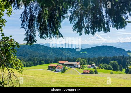 Eichenberg: Bauernhäuser im Bregenzerwald in Bregenzerwald, Vorarlberg, Österreich Stockfoto