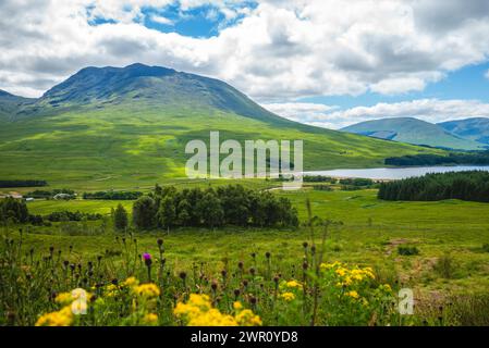 Landschaft von Loch Lomond im Hochland schottlands, vereinigtes Königreich Stockfoto
