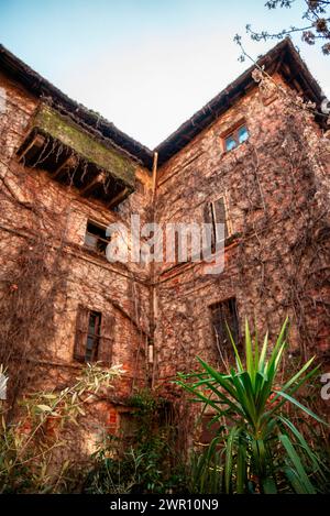 Haus in einem Innenhof an der Alzaia Naviglio Grande im alten Mailand, Ruine, baufällig. Italien. Geschmückt und bedeckt mit Efeu und Weinstöcken. Italien Stockfoto