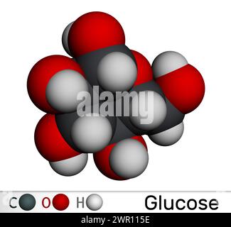 Glucose, Dextrose, D-Glucose-Molekül. Molekulares Modell. 3D-Rendering. Abbildung Stockfoto