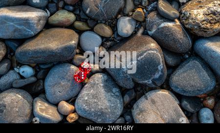 Zwei rote Würfel auf grauen Steinen. Stockfoto