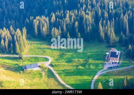 Au: Restaurant Edelweiß am Öberle, Kühe im Bregenzerwald, Vorarlberg, Österreich Stockfoto