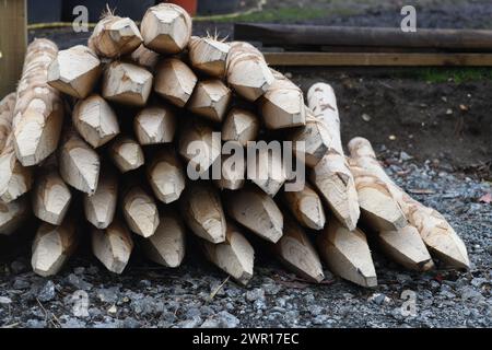 Neue Zaunpfähle Stockfoto