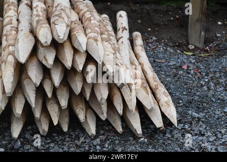 Neue Zaunpfähle Stockfoto