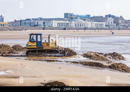 Der Bulldozer bewegt Sand am Weston Super Mare Beach, um den Auswirkungen der langen Küstendrift vor der Sommersaison entgegenzuwirken Stockfoto