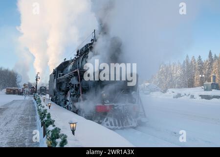 RUSKEALA, RUSSLAND - 20. JANUAR 2024: Eine sowjetische Dampflokomotive der L-Serie (Lebedjanka), die an einem frostigen Januartag in Dampf gehüllt wurde. Ruskeala Mounta Stockfoto