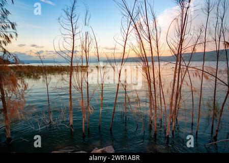 Sonnenaufgang auf dem See von Galiläa, auch Tiberias-See oder Kinneret genannt Stockfoto