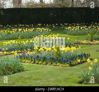 Reizvoller Garten, Regent's Park, City of Westminster, London, Großbritannien; Narzissen; Primrose; Krokus; Hyazinthen Stockfoto