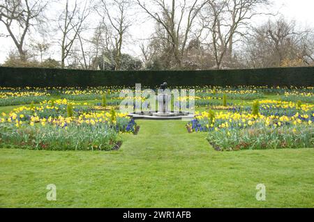 Reizvoller Garten, Regent's Park, City of Westminster, London, Großbritannien; Narzissen; Stockfoto