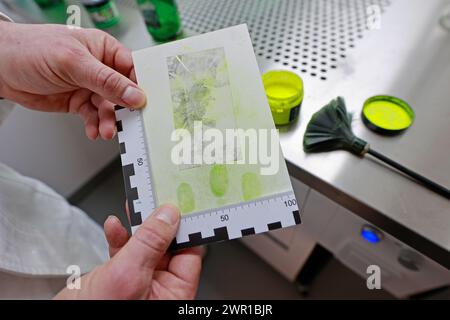 Aschersleben, Deutschland. März 2024. Spuren einer forensischen Untersuchung, aufgenommen an der Polizeiakademie. An der Polizeihochschule in Aschersleben wurde ein neues forensisches Ausbildungszentrum für angehende Kriminologen eingerichtet. Quelle: Matthias Bein/dpa/Alamy Live News Stockfoto