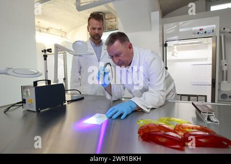 Aschersleben, Deutschland. März 2024. Chief Superintendent Ronald Braune untersucht Spuren mit einer speziellen Lampe an der Polizeiakademie zusammen mit Detective Chief Michael Kammler. An der Polizeihochschule in Aschersleben wurde ein neues forensisches Ausbildungszentrum für angehende Kriminologen eingerichtet. Quelle: Matthias Bein/dpa/Alamy Live News Stockfoto