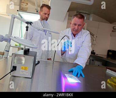 Aschersleben, Deutschland. März 2024. Chefkommissar Ronald Braune (r) untersucht Spuren mit einer speziellen Lampe zusammen mit Detective Chief Michael Kammler an der Polizeiakademie. An der Polizeihochschule in Aschersleben wurde ein neues forensisches Ausbildungszentrum für angehende Kriminologen eingerichtet. Quelle: Matthias Bein/dpa/Alamy Live News Stockfoto