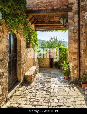 Das malerische Dorf Montefioralle, in der Nähe von Greve in Chianti, an einem sonnigen Sommertag. Provinz Florenz, Toskana, Italien. Stockfoto