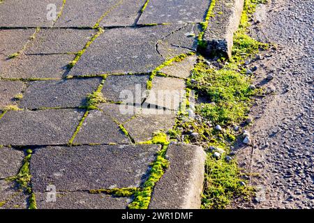 Nahaufnahme eines Bürgersteigs, der von Transportern und Lastwagen beschädigt wurde, die darauf parken, und Risse aus Betonpflaster und einen fehlenden Bordstein zeigen. Stockfoto
